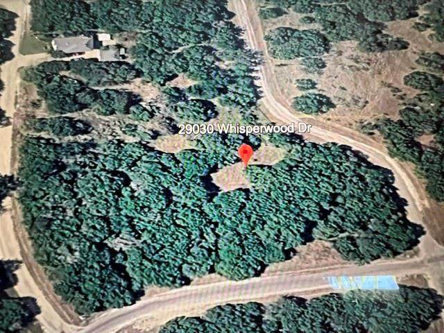 29030 Whisperwood Drive - Photo 1
