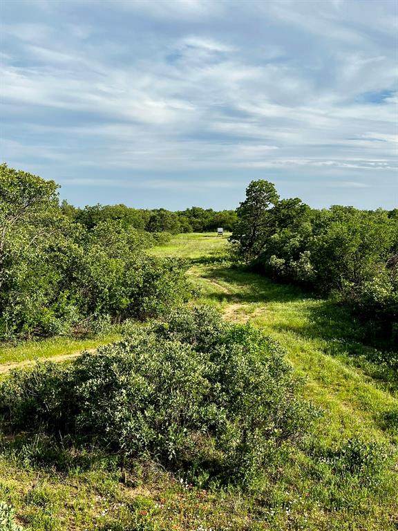 3599 County Road 413 - Photo 1