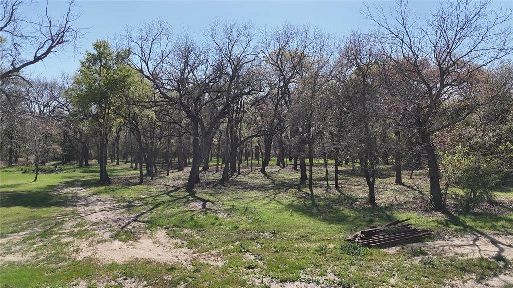 TBD Tract 2 Ranch Lake Court - Photo 1