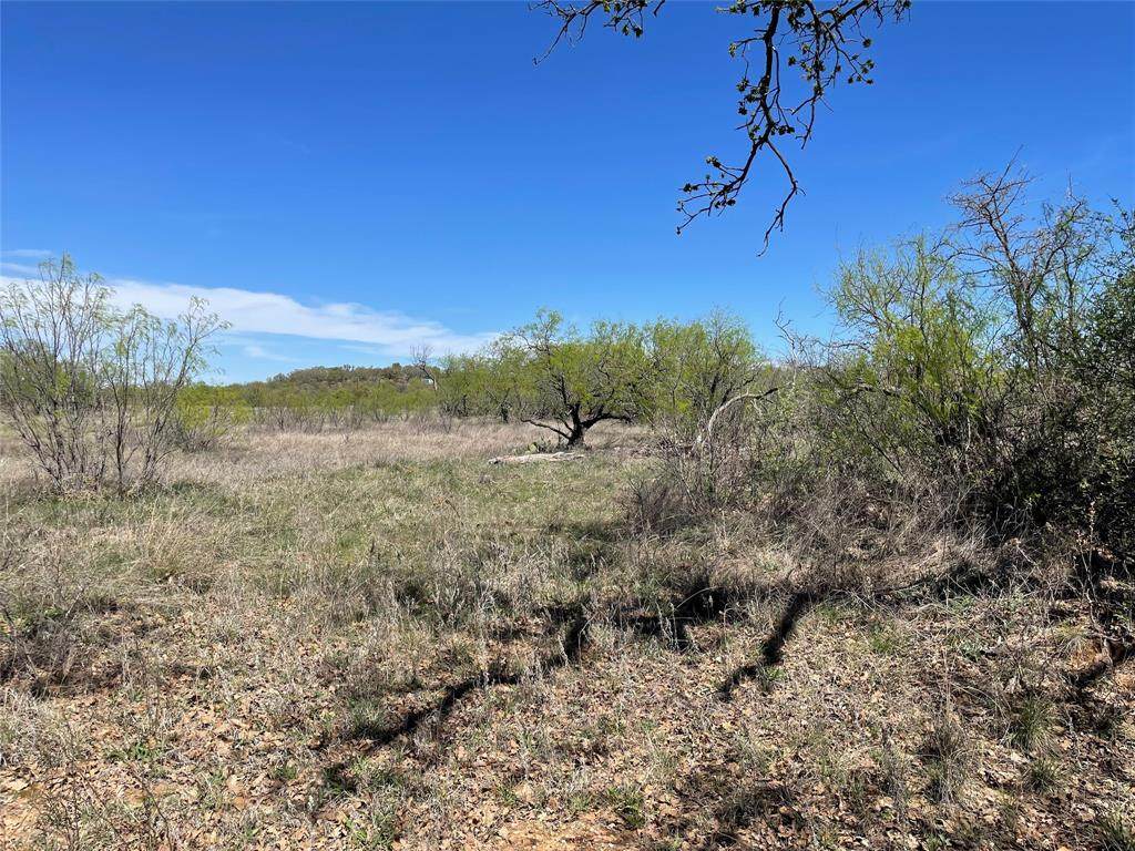 TBD County Road - Photo 1