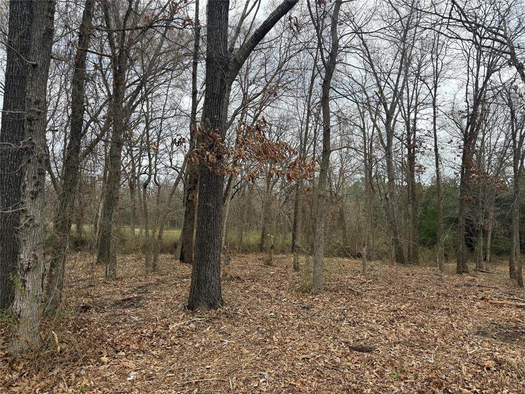 TBD (lot 8) Florence Street - Photo 1