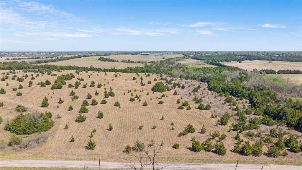 TBD LOT 2 County Road 43380 - Photo 1