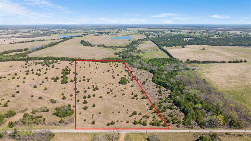 TBD LOT 1 County Road 43380 - Photo 1