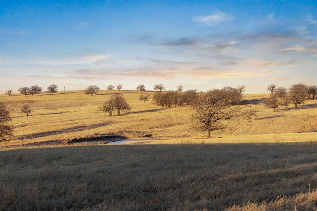 TBD Odom Road - Photo 1