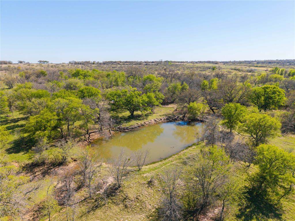 TBD 20 Acres Cr 186 - Photo 1