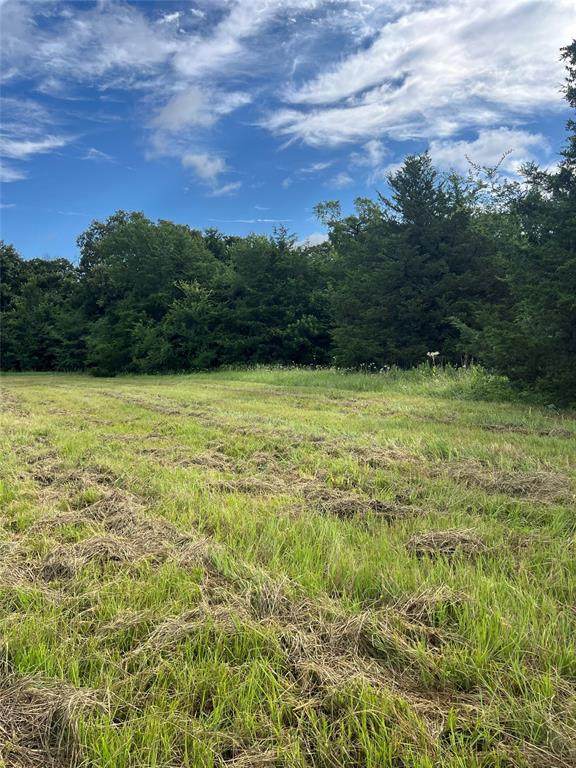 TBD County Road 4574 - Photo 1