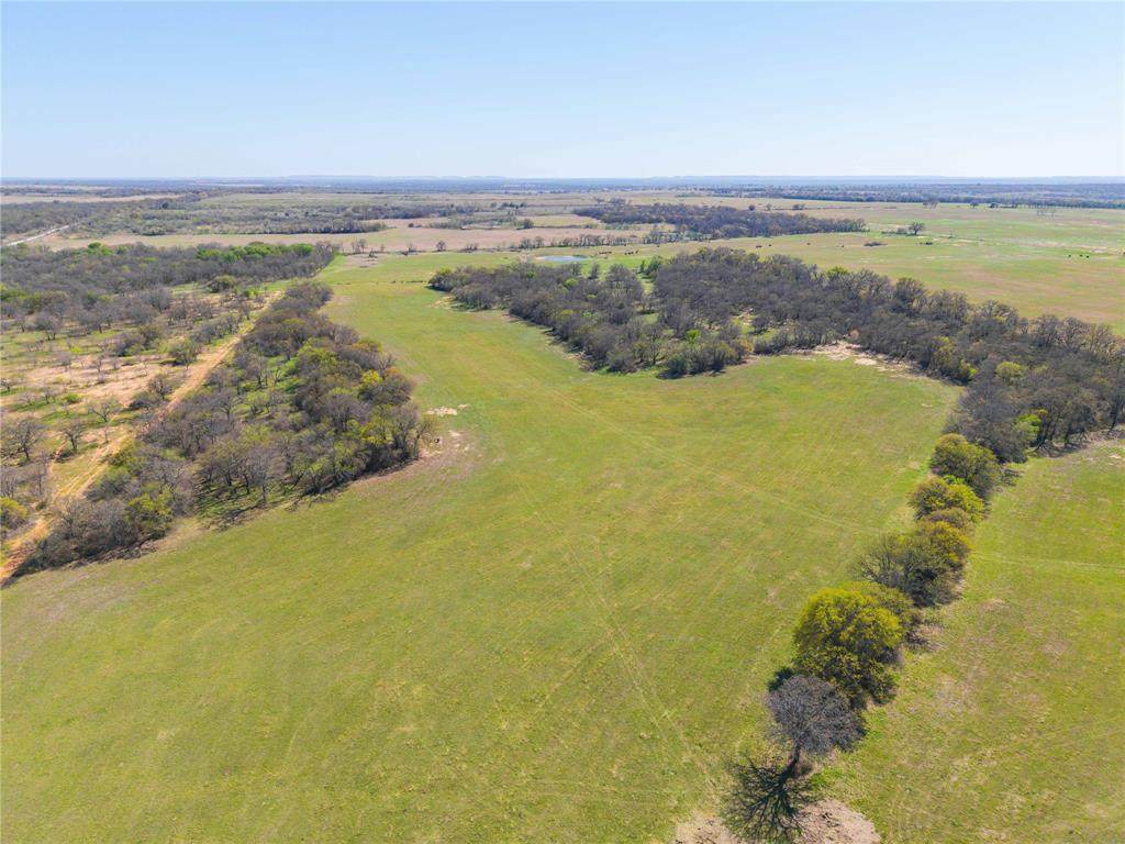 TBD 52 Acres Cr 195 - Photo 1