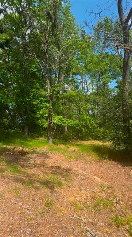 0 Turner Lane - Photo 1