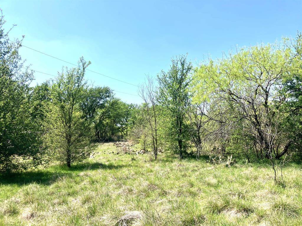 780 County Road 410A - Photo 1