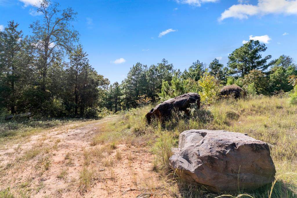 16 Acres Cr 3350 - Photo 1