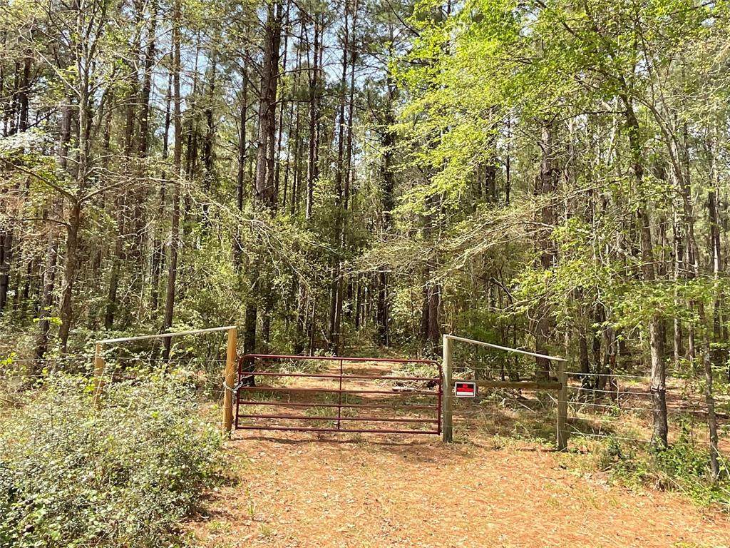 Lot 2B & 2C Fuller Springs Drive - Photo 1