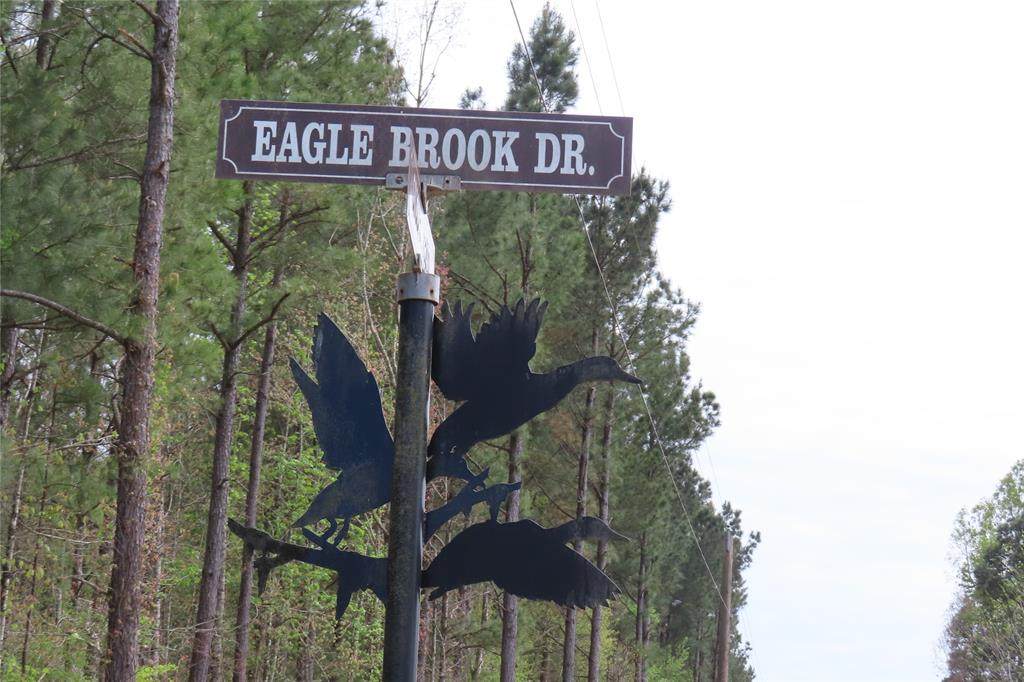 0 Eagle Brook - Photo 1