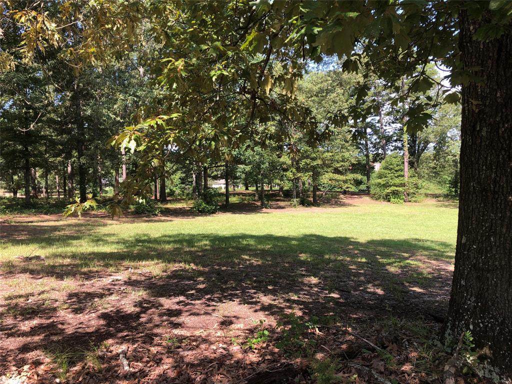 Lot 95 Chickamauga Trail - Photo 1