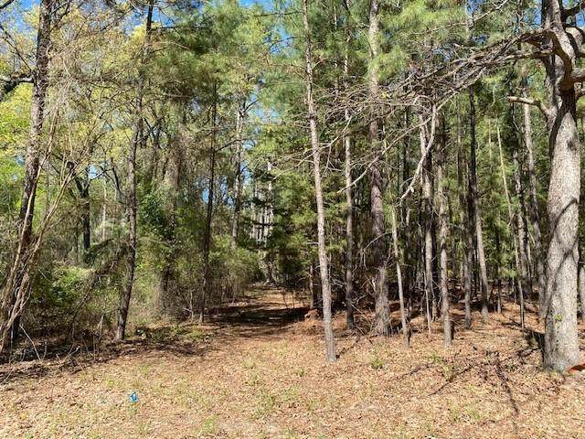 TBD Armadillo Drive - Photo 1