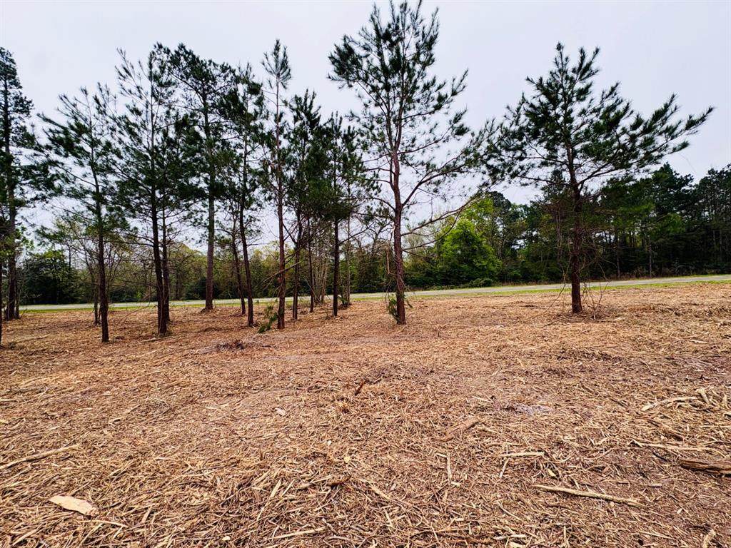 TBD (Tract B) Fm 711 - Photo 1