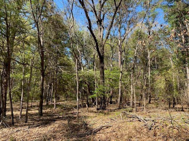 Lots 30-34 Armadillo Drive - Photo 1