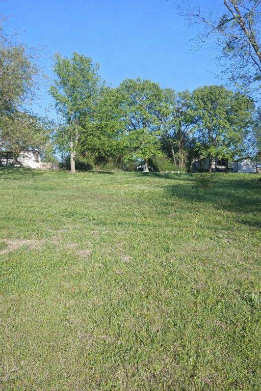 247 Wildwind Street - Photo 1