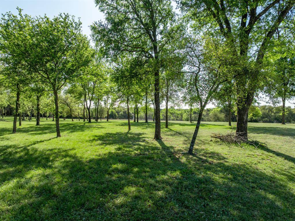 1629 White Bluff Drive - Photo 1