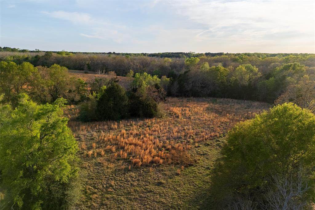 00 County Road 117 - Photo 1