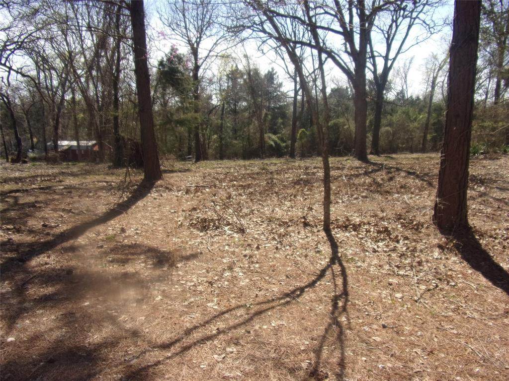 tbd Broad Meadow - Photo 1
