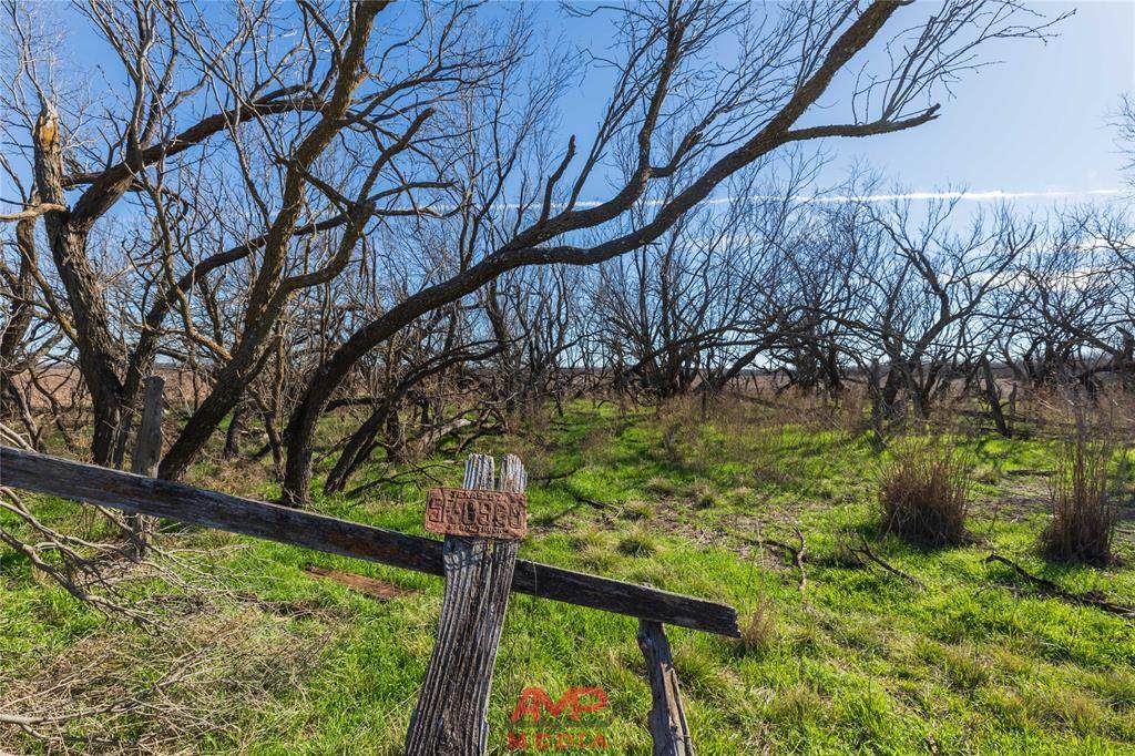 T B D County Road 260 - Photo 1