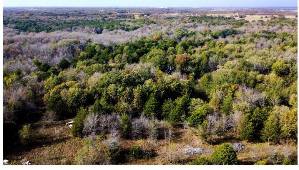 TBD County Road 3060 - Photo 1