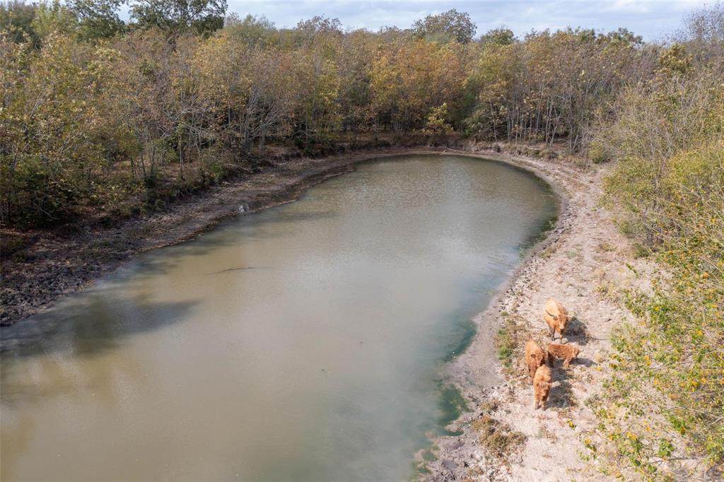 4081 Fm 2736 - Photo 1