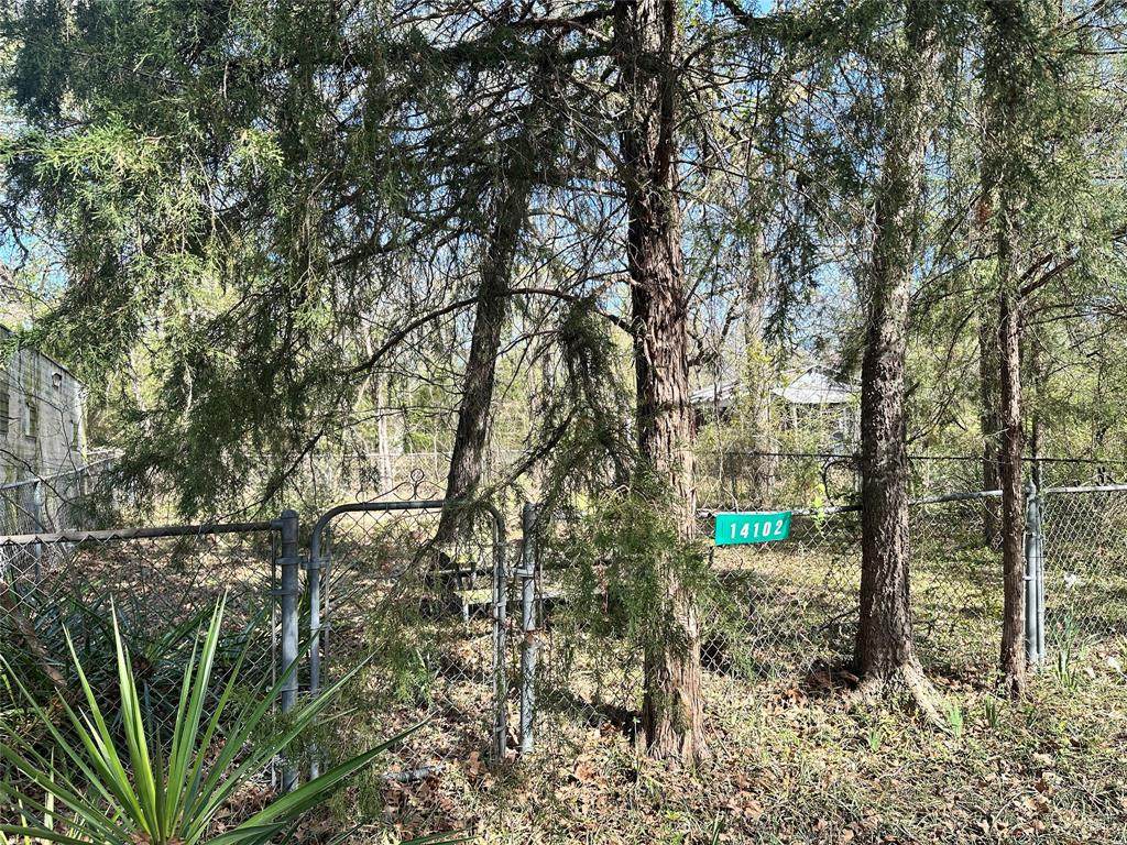 14110 Austin Street - Photo 1