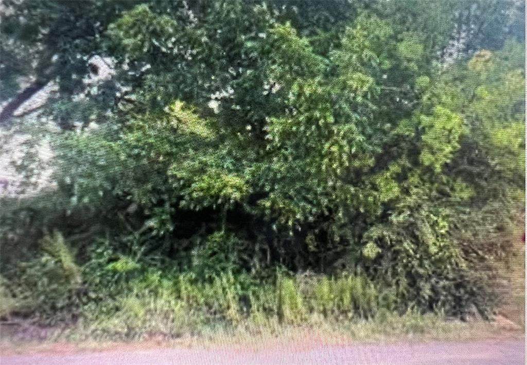 1927 Muncie Avenue - Photo 1