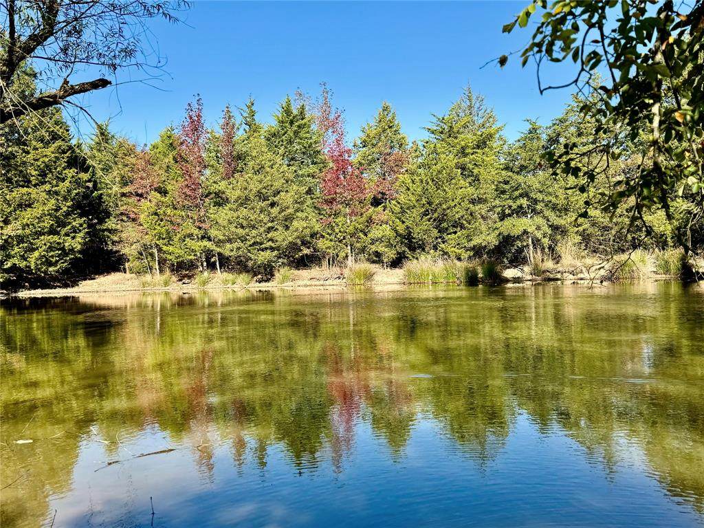 42 Acres County Road 2400 - Photo 1