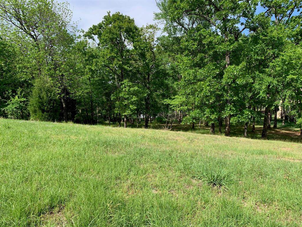 TBD Esquire Estates Road - Photo 1