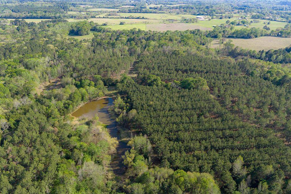 00 Farm To Market Road 2022 - Photo 1