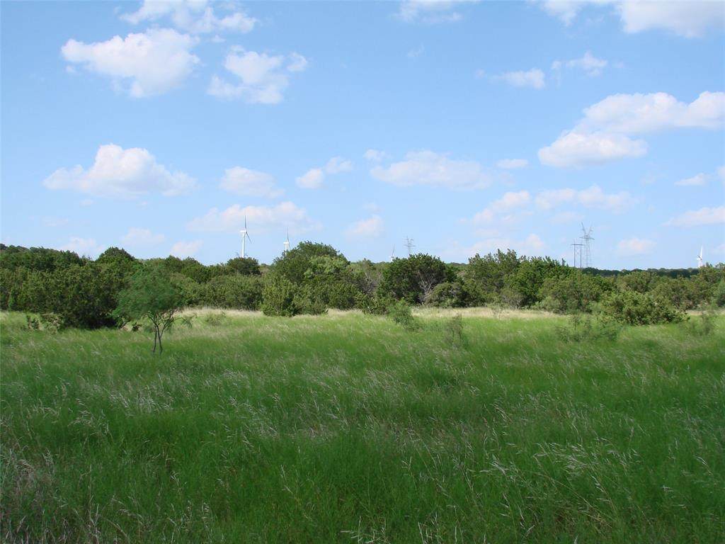 14653 Us Hwy 277 - Photo 1