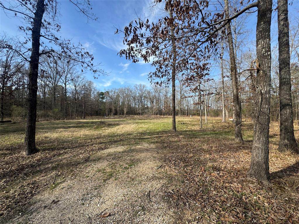 9544 Labonne Terre Drive - Photo 1