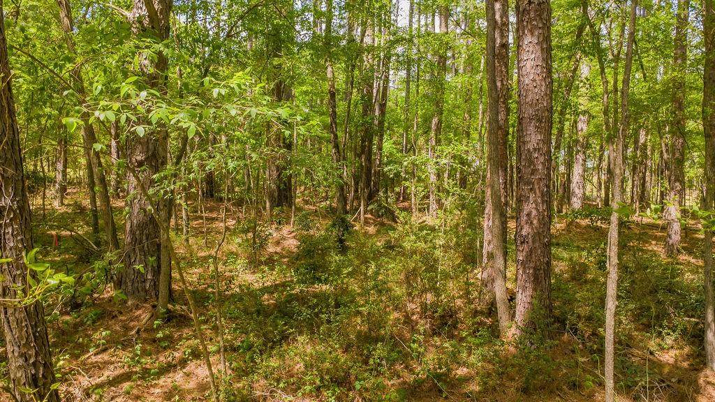 1723 Pineview Lane - Photo 1