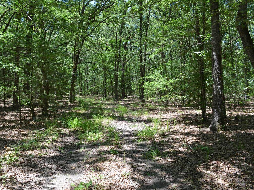 TBD County Road 14590 - Photo 1