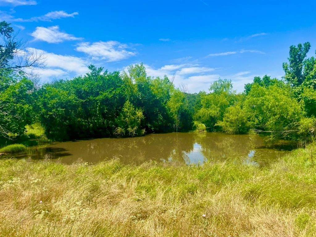 Lot 99 Arlow Road - Photo 1