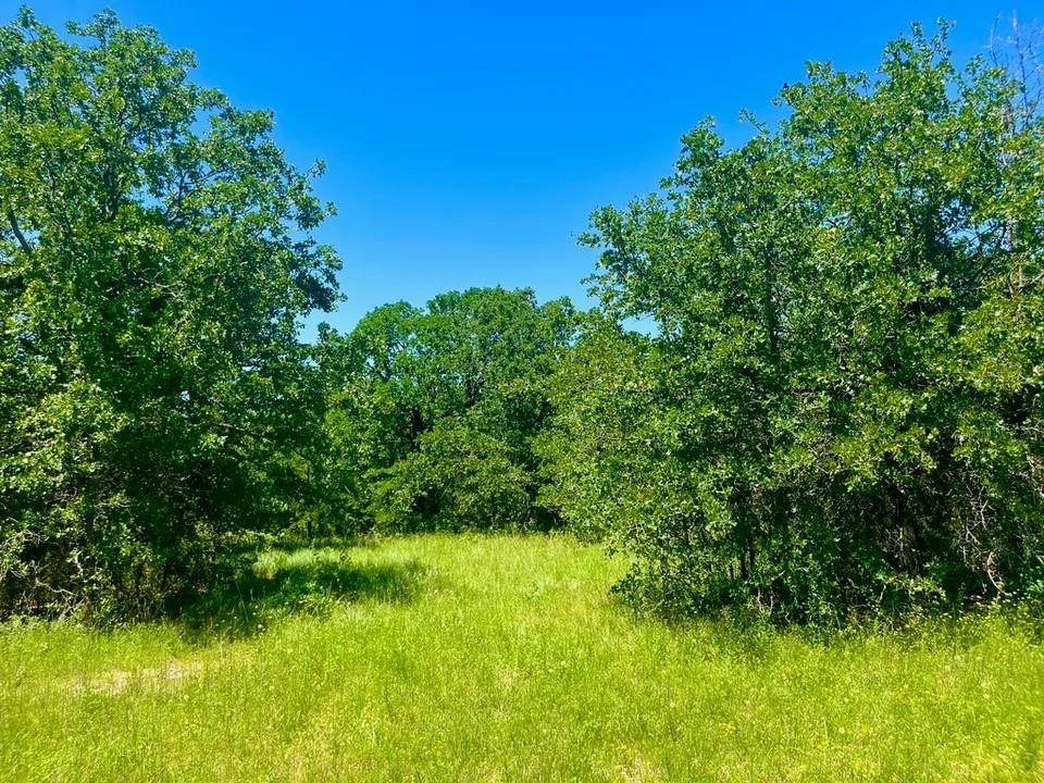 Lot 34 Galway Rd - Photo 1