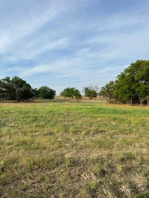 TBD Flat Rock Road - Photo 1