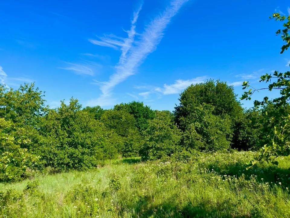 Lot 53 Wicklow Court - Photo 1