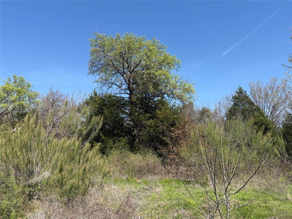 https://bt-photos.global.ssl.fastly.net/ntreis/orig_boomver_1_21226531-2.jpg
