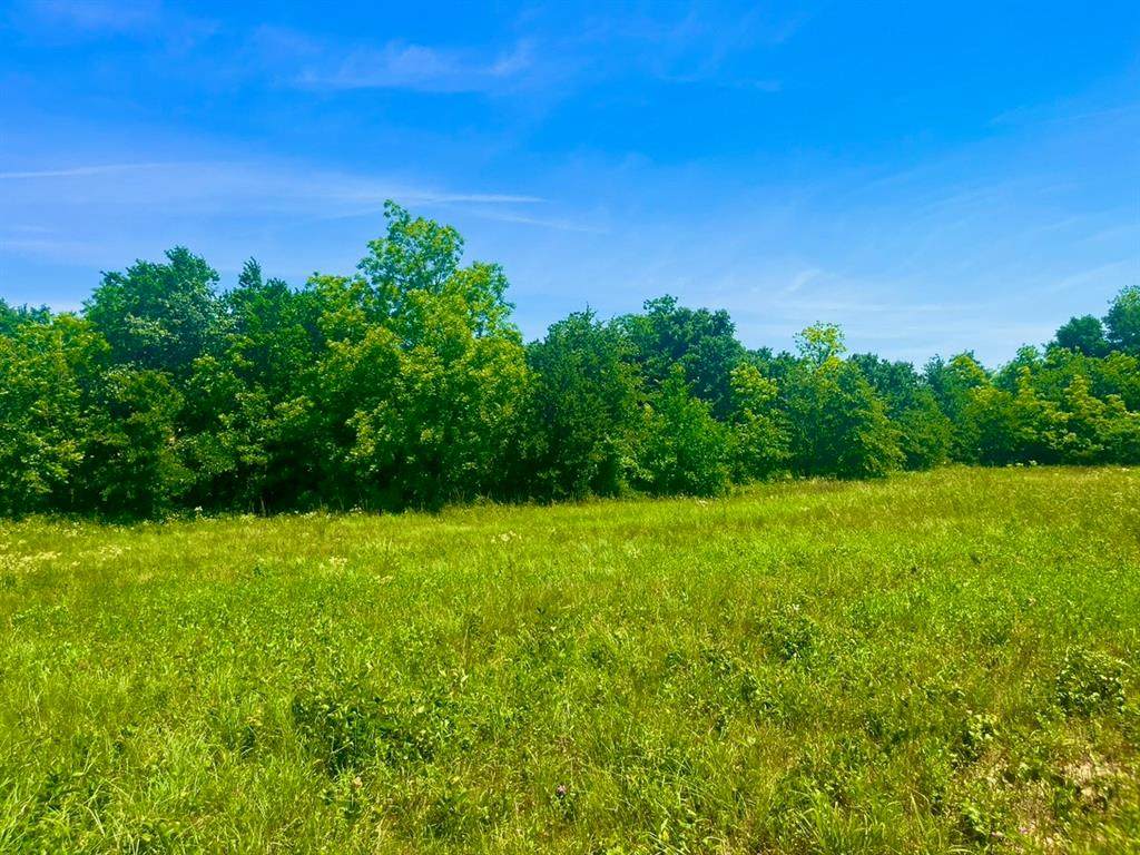 Lot 103 Arlow Road - Photo 1