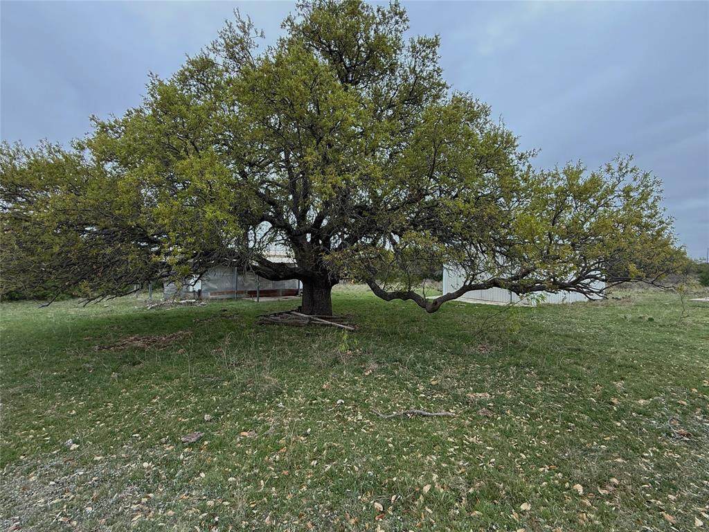 https://bt-photos.global.ssl.fastly.net/ntreis/orig_boomver_1_21226741-2.jpg