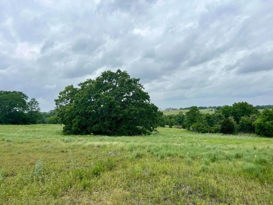 Lot 14 Arlow Road - Photo 1