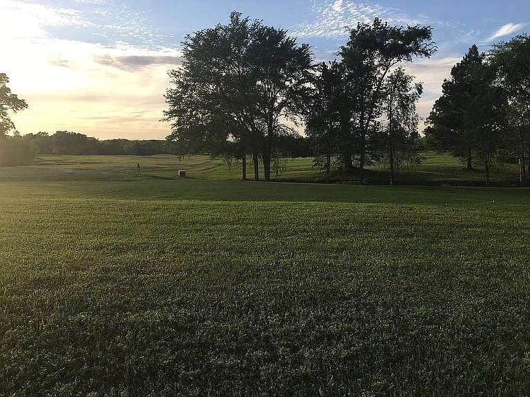 0 Hal Sutton Drive - Photo 1