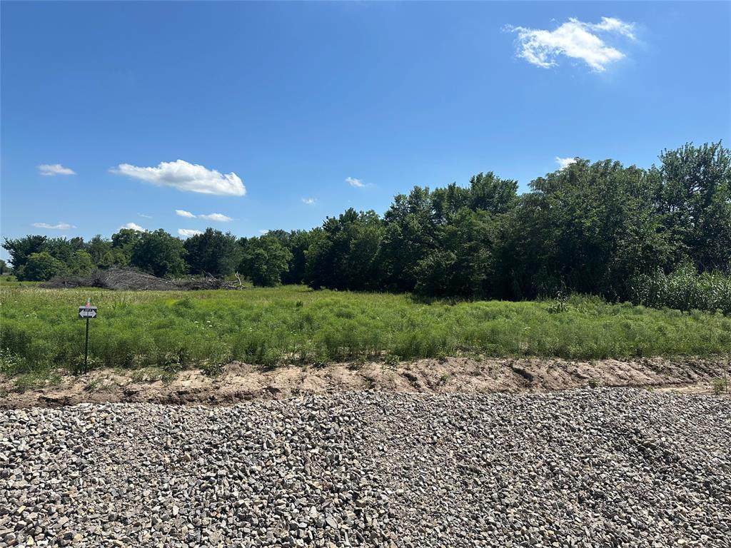 Lot 5 County Road 1110 - Photo 1