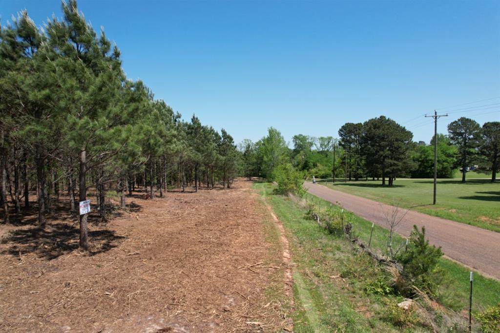 TBD Lincoln Springs Rd - Photo 1