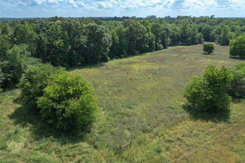 6705 Fox Road - Photo 1