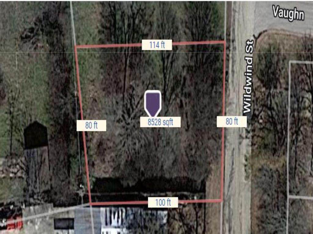 301 Wildwind Street - Photo 1