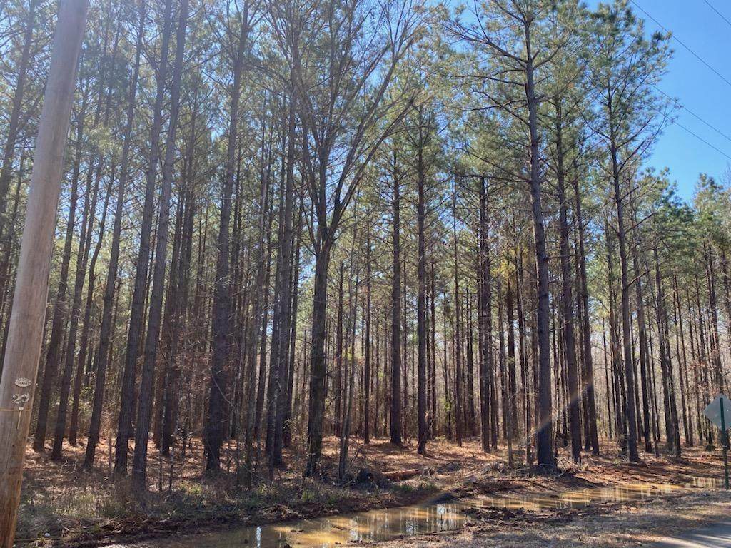 460 Cotton Valley Road - Photo 1